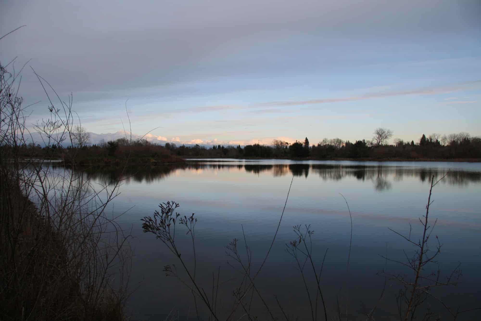 The lower American River at William B. Pond Park in Carmichael